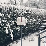 Apartman Schweier - Ausserhalb Und Doch Zentral Freiburg im Breisgau