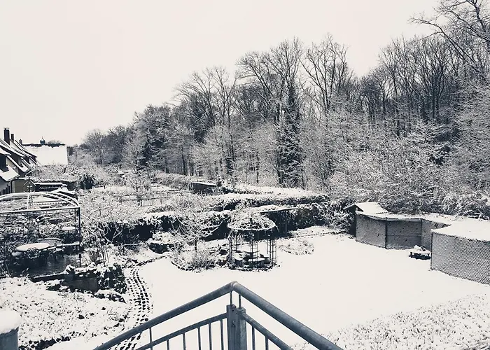 Schweier - Ausserhalb Und Doch Zentral Apartment